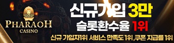 온라인카지노 파라오카지노 카지노사이트존